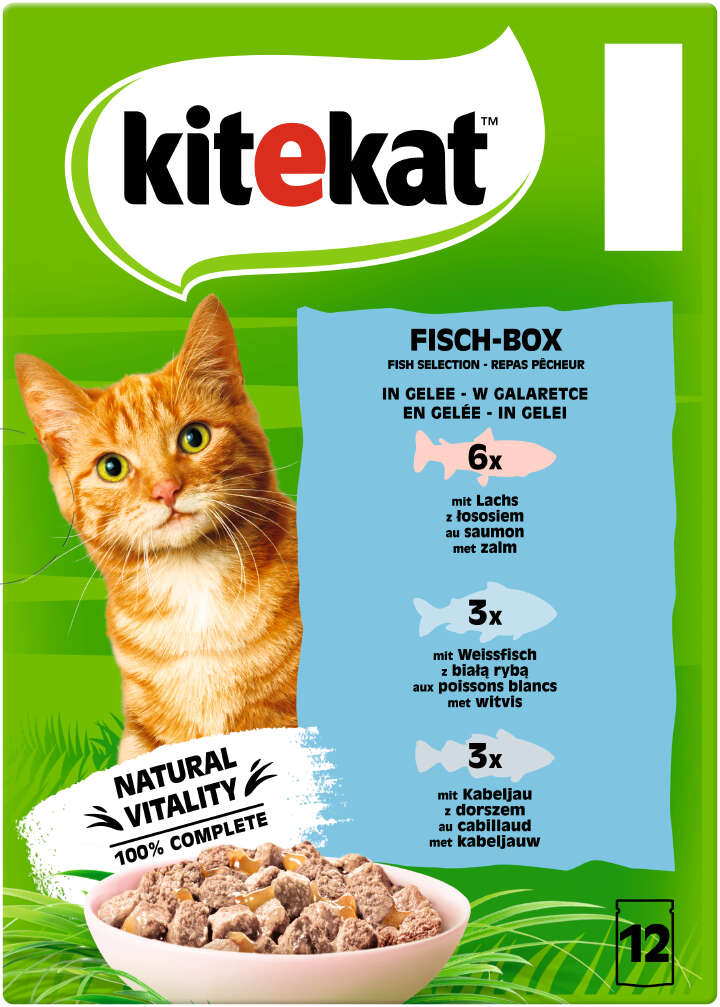Kitekat Katzen-Nassfutter Fisch-Box in Gelee 12x85g